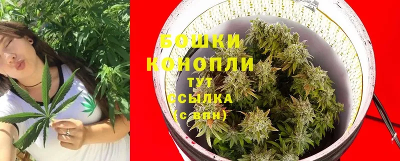 Бошки марихуана OG Kush  Ардатов 